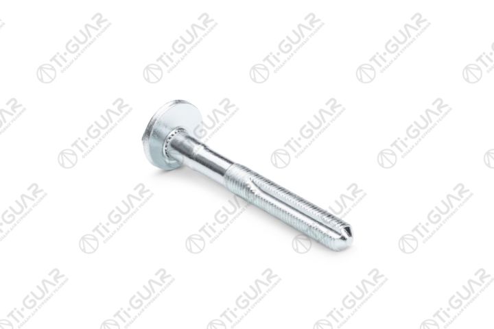 Болт с эксцентриком TG-BE001 / 24422973 * TIGUAR